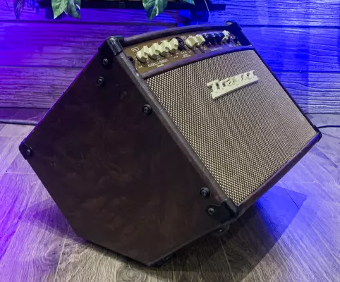 Traynor - 2-Channel Compact Stereo Acoustic Guitar Amp - 65 Watts 5